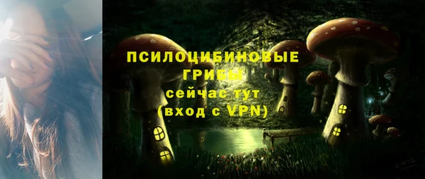 ешки Зеленодольск