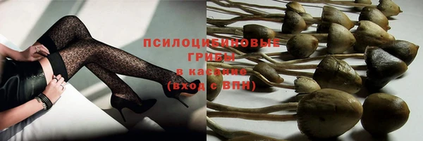ешки Зеленодольск