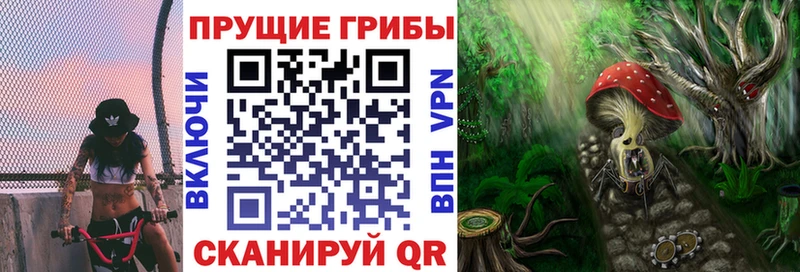 Купить закладки  Калтан  Галлюциногенные грибы GOLDEN TEACHER 